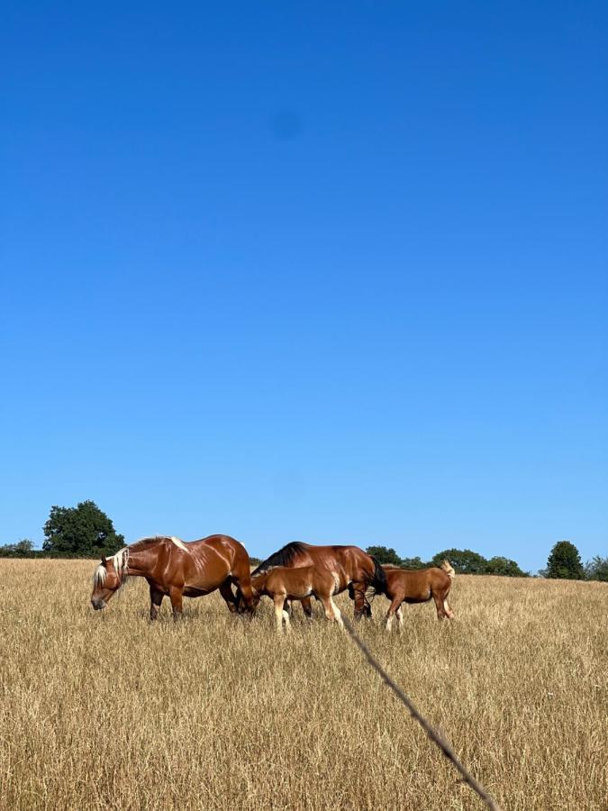 ホテル Tout Au Bout Du Chemin Réquista エクステリア 写真